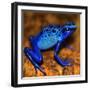 Bluetiful - preparatory-Ben Heine-Framed Photographic Print