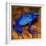 Bluetiful - preparatory-Ben Heine-Framed Photographic Print