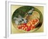 Bluetits Pecking at Cherries, 1897-Eloise Harriet Stannard-Framed Giclee Print