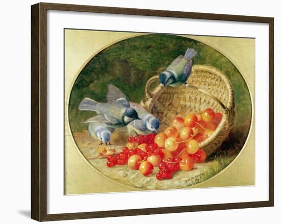 Bluetits Pecking at Cherries, 1897-Eloise Harriet Stannard-Framed Giclee Print