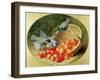 Bluetits Pecking at Cherries, 1897-Eloise Harriet Stannard-Framed Giclee Print