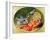 Bluetits Pecking at Cherries, 1897-Eloise Harriet Stannard-Framed Giclee Print