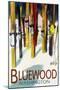 Bluewood, Washington - Colorful Skis-Lantern Press-Mounted Art Print
