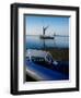 Bluexs-Tim Kahane-Framed Photographic Print