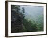 Bluff at Cedar Creek, Petit Jean State Park, Arkansas, USA-Charles Gurche-Framed Photographic Print