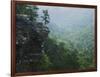 Bluff at Cedar Creek, Petit Jean State Park, Arkansas, USA-Charles Gurche-Framed Photographic Print