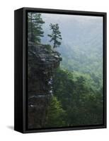 Bluff at Cedar Creek, Petit Jean State Park, Arkansas, USA-Charles Gurche-Framed Stretched Canvas