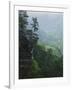 Bluff at Cedar Creek, Petit Jean State Park, Arkansas, USA-Charles Gurche-Framed Photographic Print