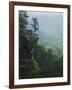 Bluff at Cedar Creek, Petit Jean State Park, Arkansas, USA-Charles Gurche-Framed Photographic Print