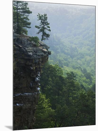 Bluff at Cedar Creek, Petit Jean State Park, Arkansas, USA-Charles Gurche-Mounted Photographic Print