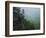 Bluff at Cedar Creek, Petit Jean State Park, Arkansas, USA-Charles Gurche-Framed Photographic Print