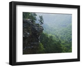 Bluff at Cedar Creek, Petit Jean State Park, Arkansas, USA-Charles Gurche-Framed Photographic Print