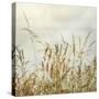 Bluff Grass I-Dianne Poinski-Stretched Canvas