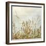 Bluff Grass I-Dianne Poinski-Framed Photographic Print