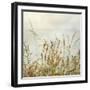 Bluff Grass I-Dianne Poinski-Framed Photographic Print