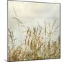 Bluff Grass I-Dianne Poinski-Mounted Photographic Print