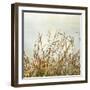 Bluff Grass II-Dianne Poinski-Framed Photographic Print