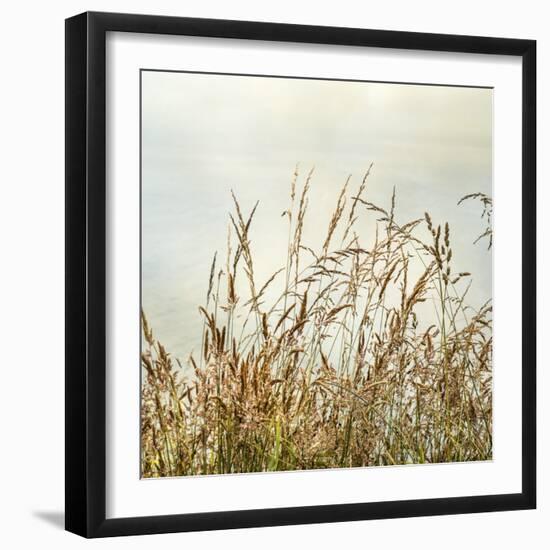 Bluff Grass II-Dianne Poinski-Framed Photographic Print