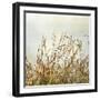 Bluff Grass II-Dianne Poinski-Framed Photographic Print