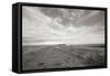 Bluff Path BW-Dana Styber-Framed Stretched Canvas