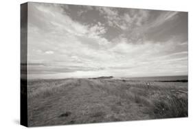 Bluff Path BW-Dana Styber-Stretched Canvas