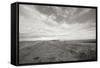 Bluff Path BW-Dana Styber-Framed Stretched Canvas