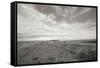 Bluff Path BW-Dana Styber-Framed Stretched Canvas