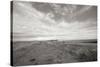 Bluff Path BW-Dana Styber-Stretched Canvas