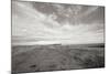 Bluff Path BW-Dana Styber-Mounted Photographic Print