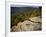 Bluff, Petit Jean State Park, Arkansas, USA-Charles Gurche-Framed Photographic Print