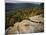 Bluff, Petit Jean State Park, Arkansas, USA-Charles Gurche-Mounted Photographic Print