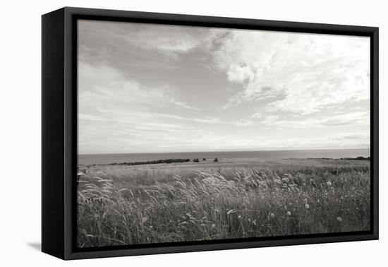 Bluff View BW-Dana Styber-Framed Stretched Canvas