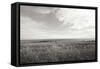 Bluff View BW-Dana Styber-Framed Stretched Canvas