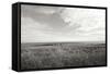 Bluff View BW-Dana Styber-Framed Stretched Canvas