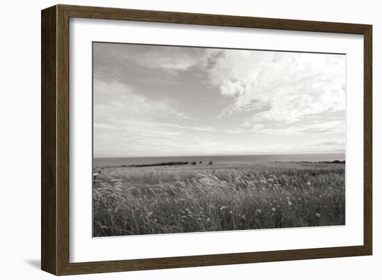 Bluff View BW-Dana Styber-Framed Photographic Print