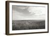 Bluff View BW-Dana Styber-Framed Photographic Print