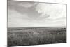 Bluff View BW-Dana Styber-Mounted Photographic Print