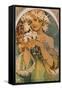 Blume, 1897-Alphonse Mucha-Framed Stretched Canvas