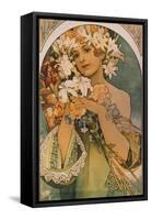 Blume, 1897-Alphonse Mucha-Framed Stretched Canvas