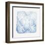 Blume-Eva Watts-Framed Art Print