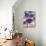 Blumen Blues-Corina Capri-Mounted Art Print displayed on a wall