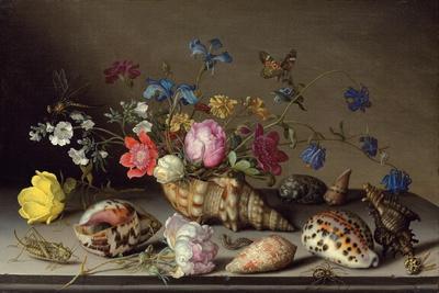 Blumen, Muscheln und Insekten auf einem Steingesims' Giclee Print -  Balthasar van der Ast | AllPosters.com