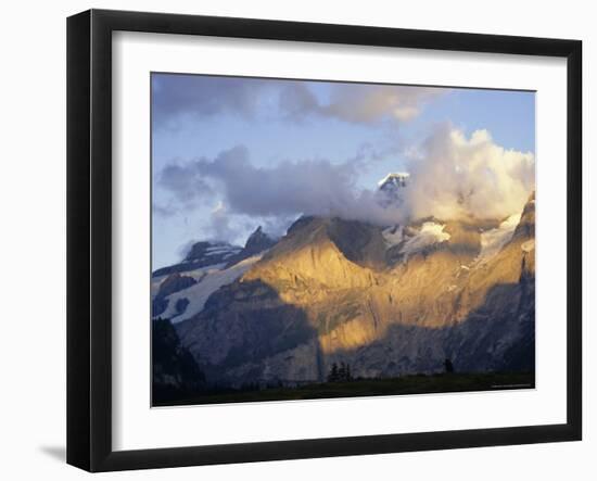 Blumlisalphorn (3664M) in Evening Light, Bernese Oberland, Swiss Alps, Switzerland, Europe-Andrew Sanders-Framed Photographic Print