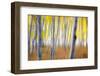 Blur Aspens, Autumn Impressions, Sierra Nevada, California-Vincent James-Framed Photographic Print