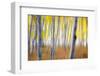 Blur Aspens, Autumn Impressions, Sierra Nevada, California-Vincent James-Framed Photographic Print