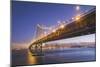 Blur Hour Cityscape, San Francisco Bay Bridge-Vincent James-Mounted Photographic Print