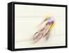 Blured Action of Cyclist Competing on the Velodrome-Chris Trotman-Framed Stretched Canvas