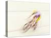 Blured Action of Cyclist Competing on the Velodrome-Chris Trotman-Stretched Canvas