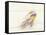 Blured Action of Cyclist Competing on the Velodrome-Chris Trotman-Framed Stretched Canvas