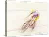 Blured Action of Cyclist Competing on the Velodrome-Chris Trotman-Stretched Canvas